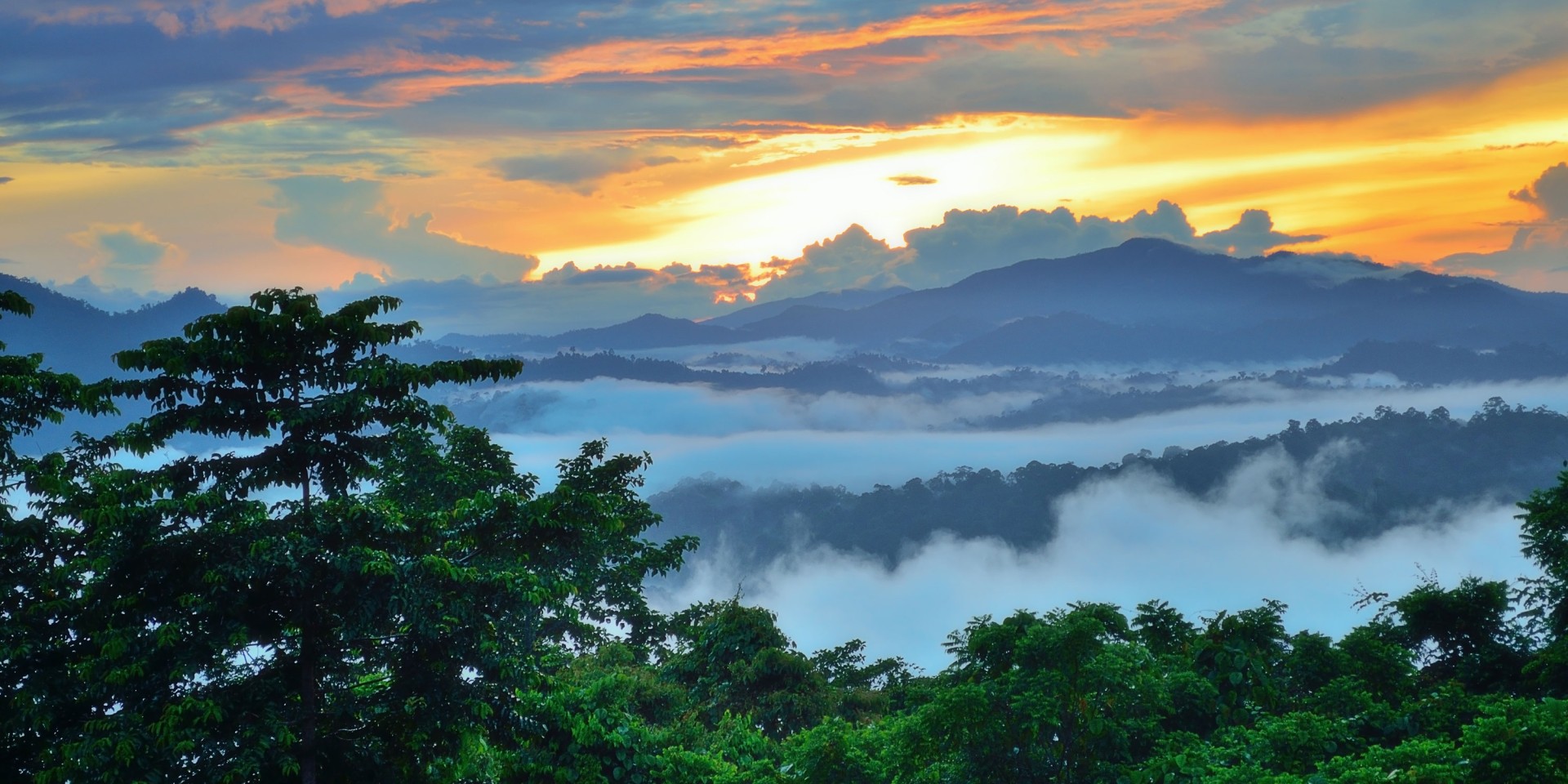 Seaya Holidays - Danum Valley Jungle in Sabah Borneo - Travel Inspiration