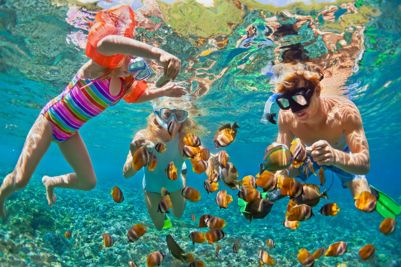 Seaya Holidays - Perhentian Island Snorkeling - Travel Inspiration