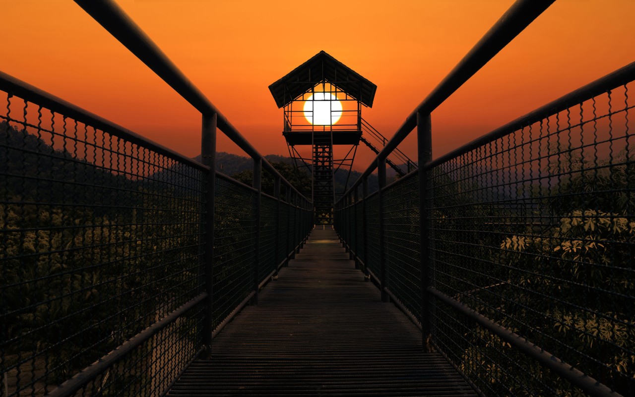 Seaya Holidays - Taman Negara National Park Treetop canopy walk - Travel Inspiration